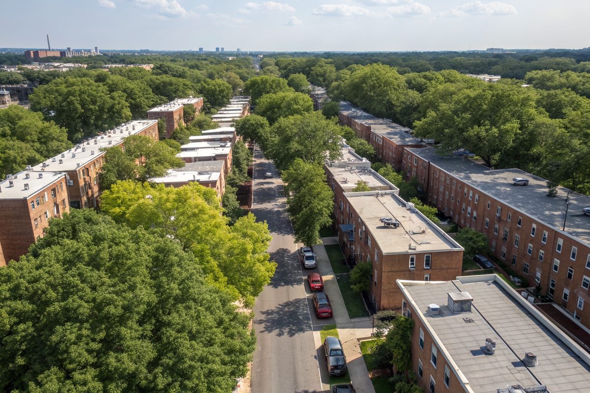 Aerial view of long blocks of brick rowhouses with flat roofs and street trees
